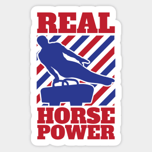 Gymnastic Pommel Horse Spinner, Male Gymnast Real Horse Power Sticker